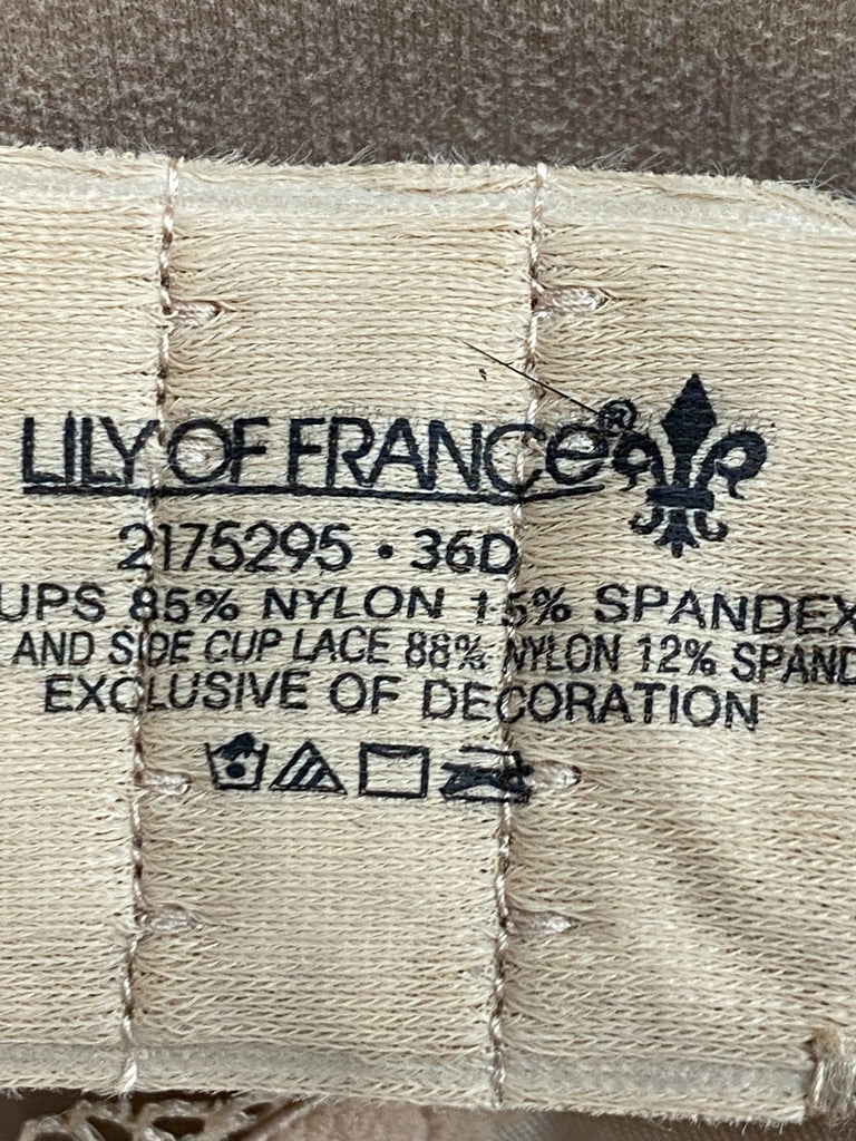 Lily of france