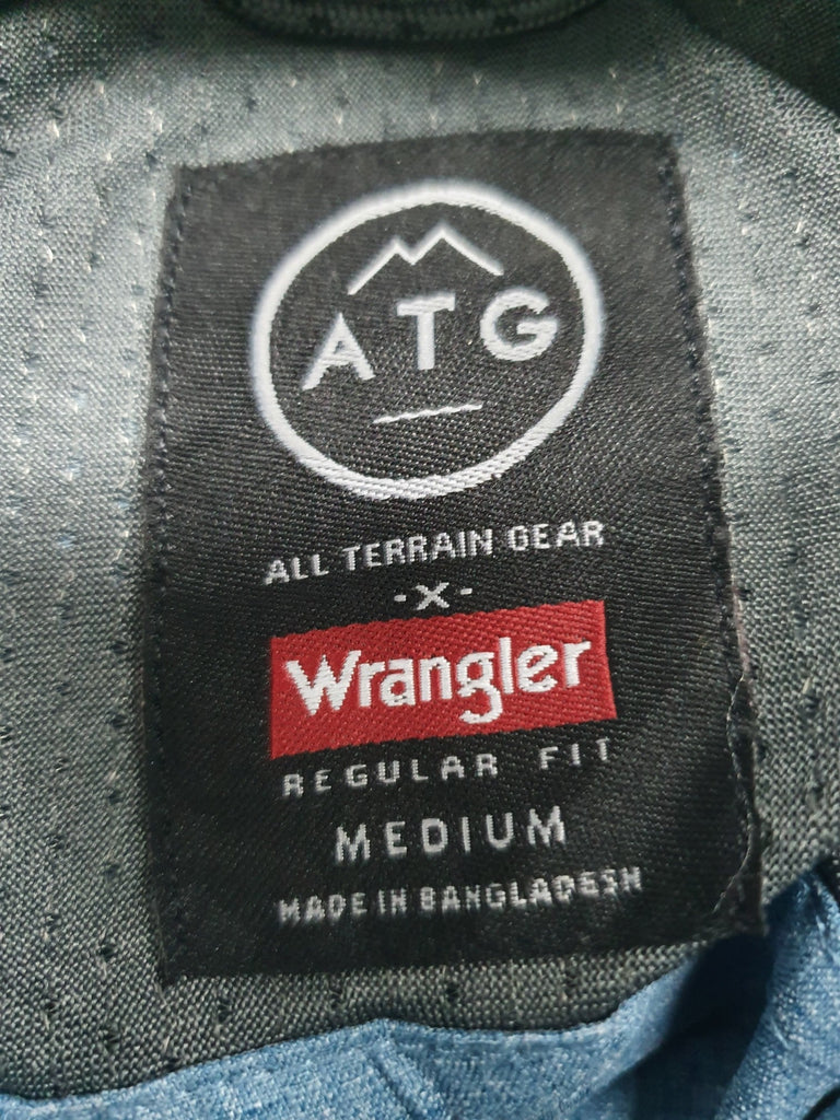 Atg