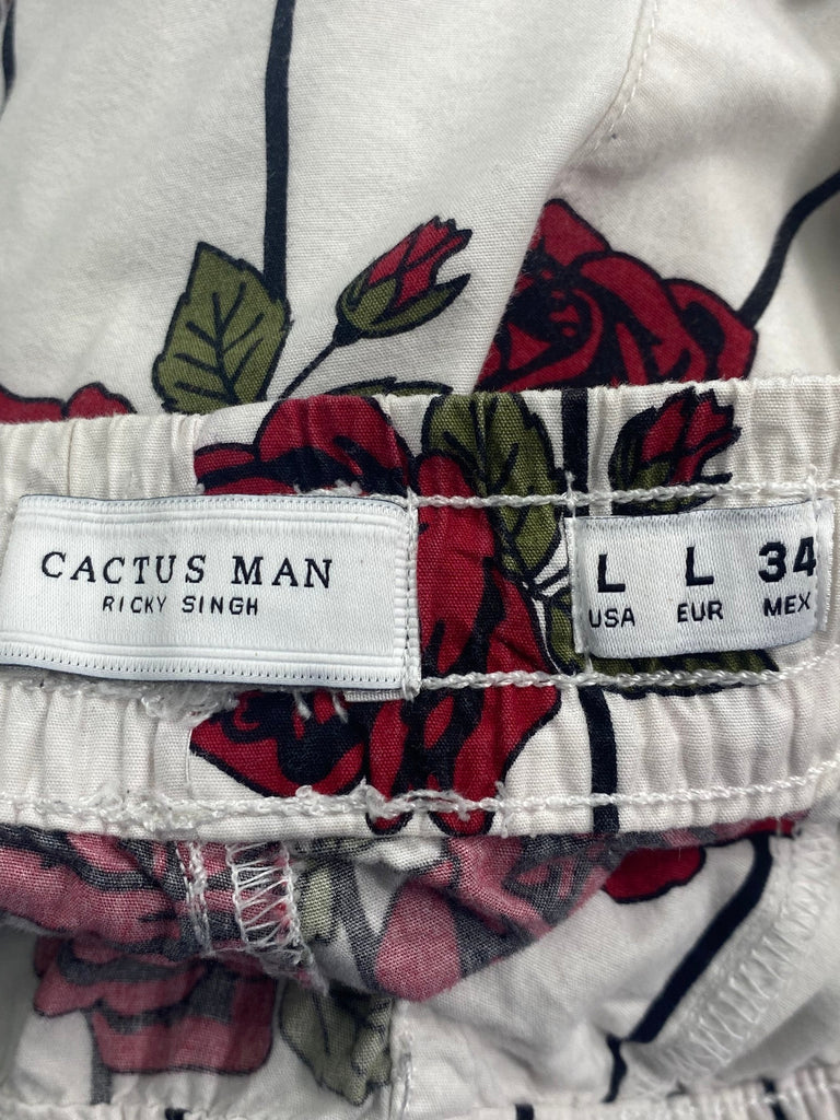 Cactus man