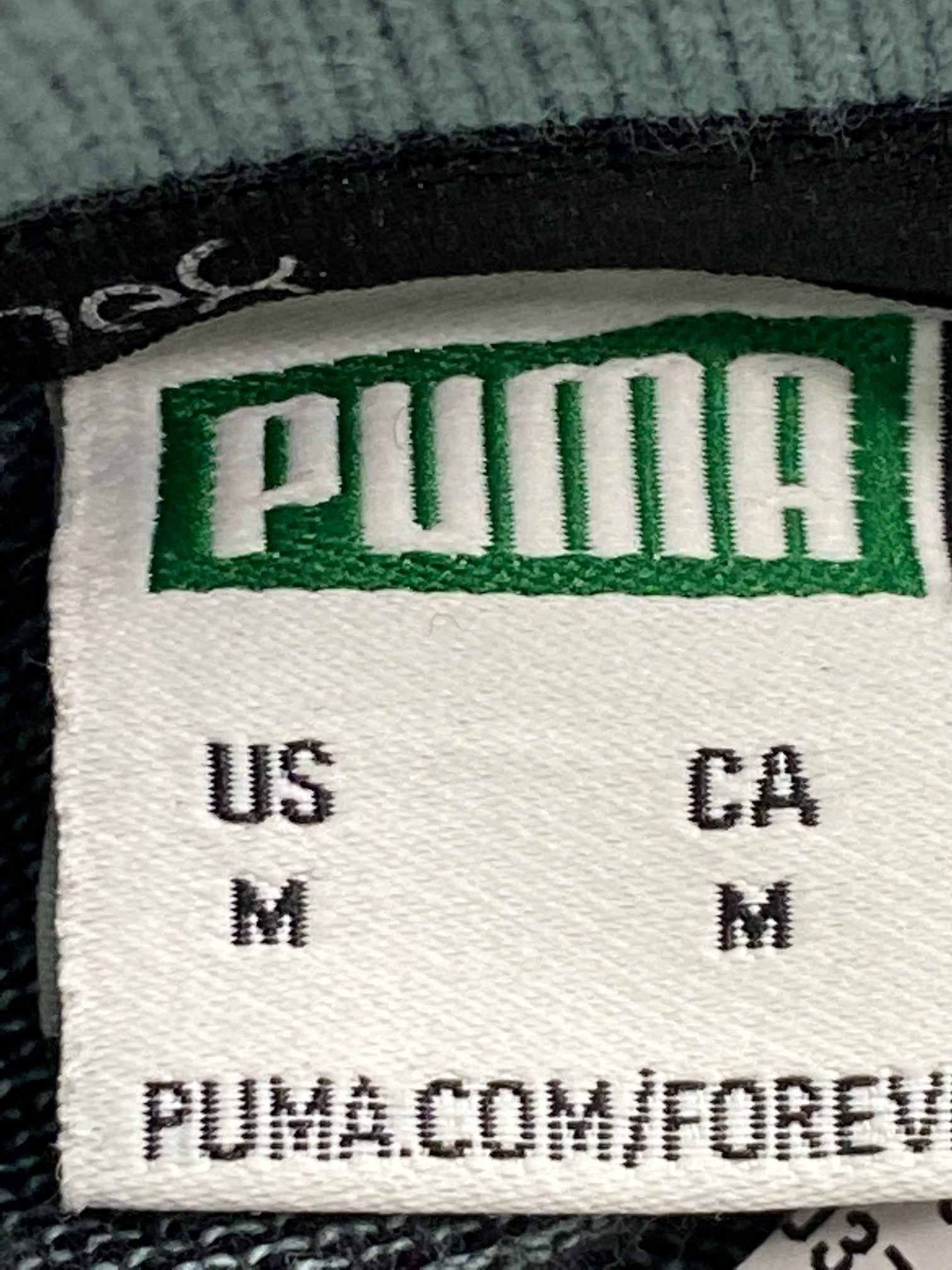 Puma